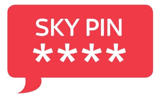 sky-pin