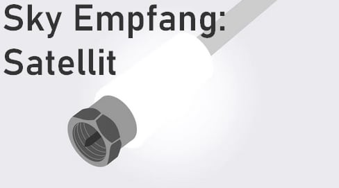 sky-empfang-satellit-empfangsart