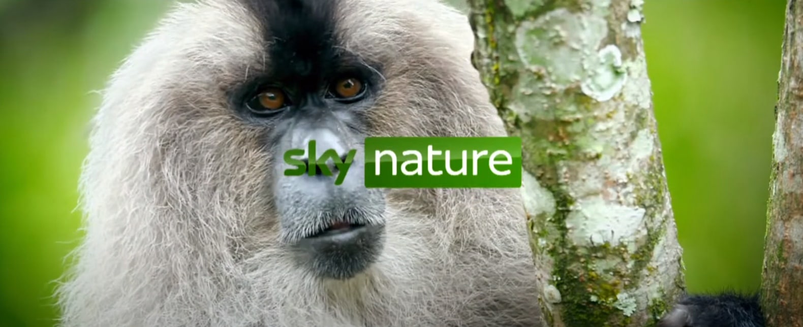 sky-nature-sender