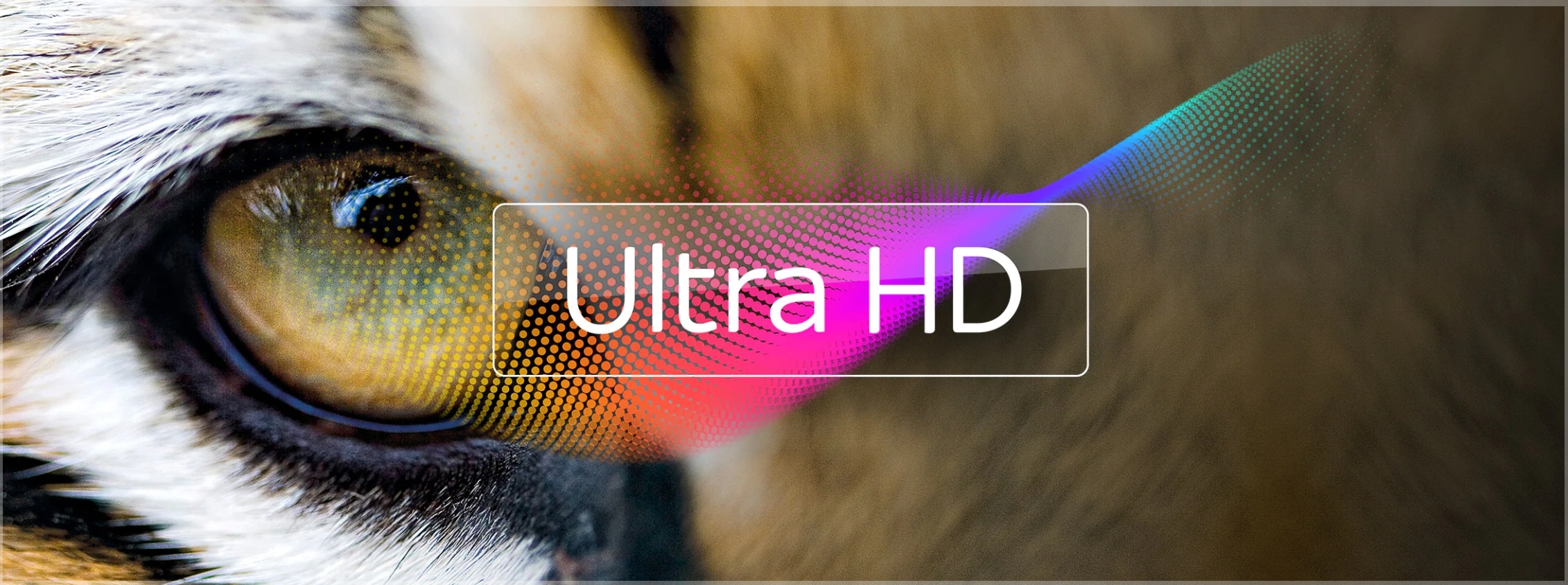 Sky UHD Angebote Dezember 2023