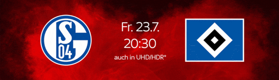 schalke-hsv-live