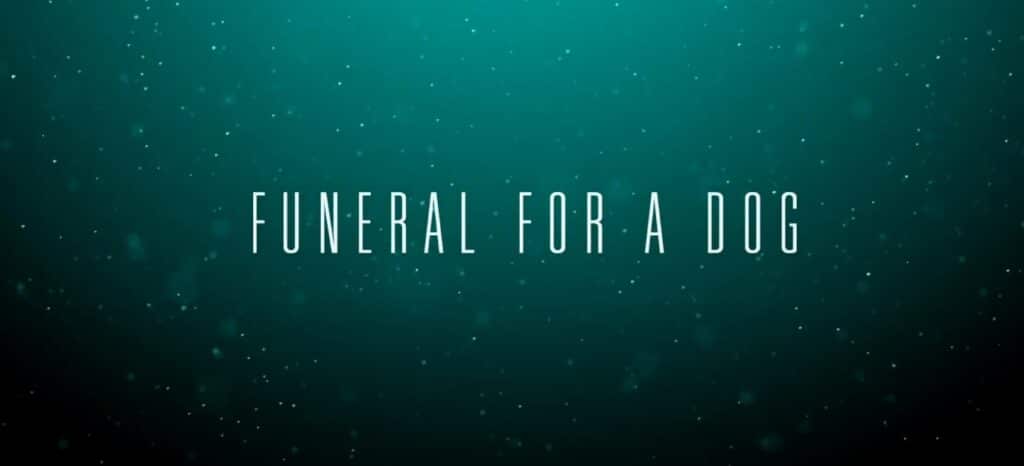 funeral-for-a-dog-sky-ticket