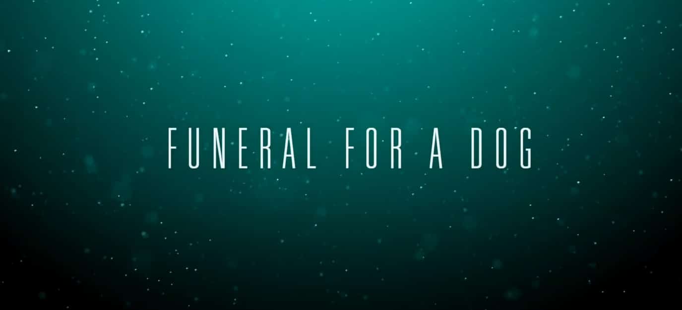 funeral-for-a-dog-sky-ticket
