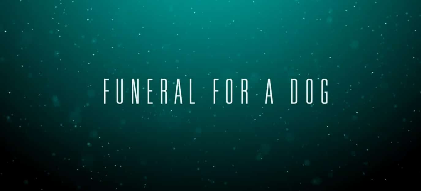 funeral-for-a-dog-sky-ticket