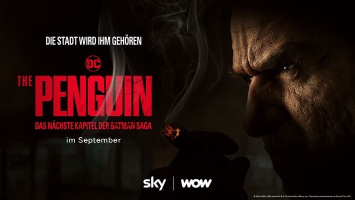 pinguin-dc-sky