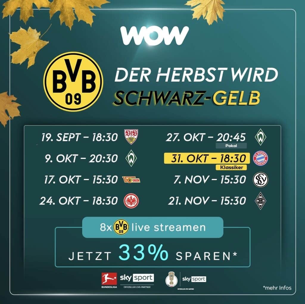 wow-bvb
