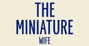 the-miniatur-wife-sky